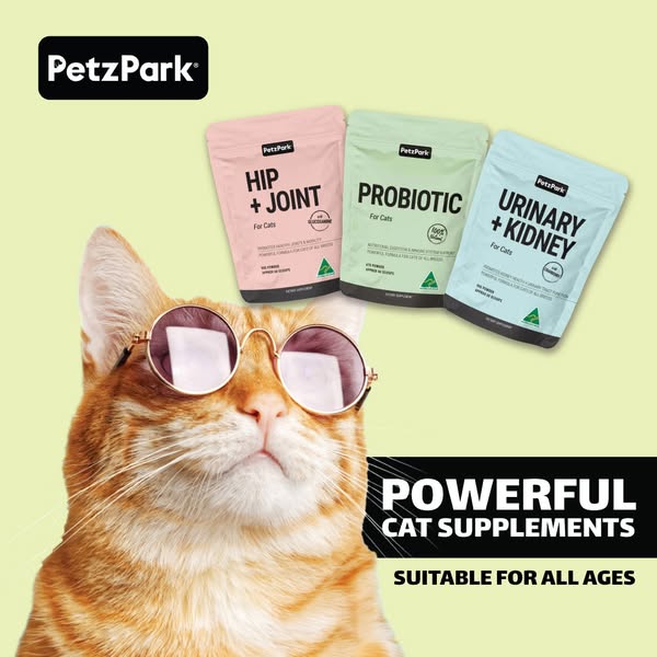 Cat Probiotics & Dietary Supplements | Petz Park